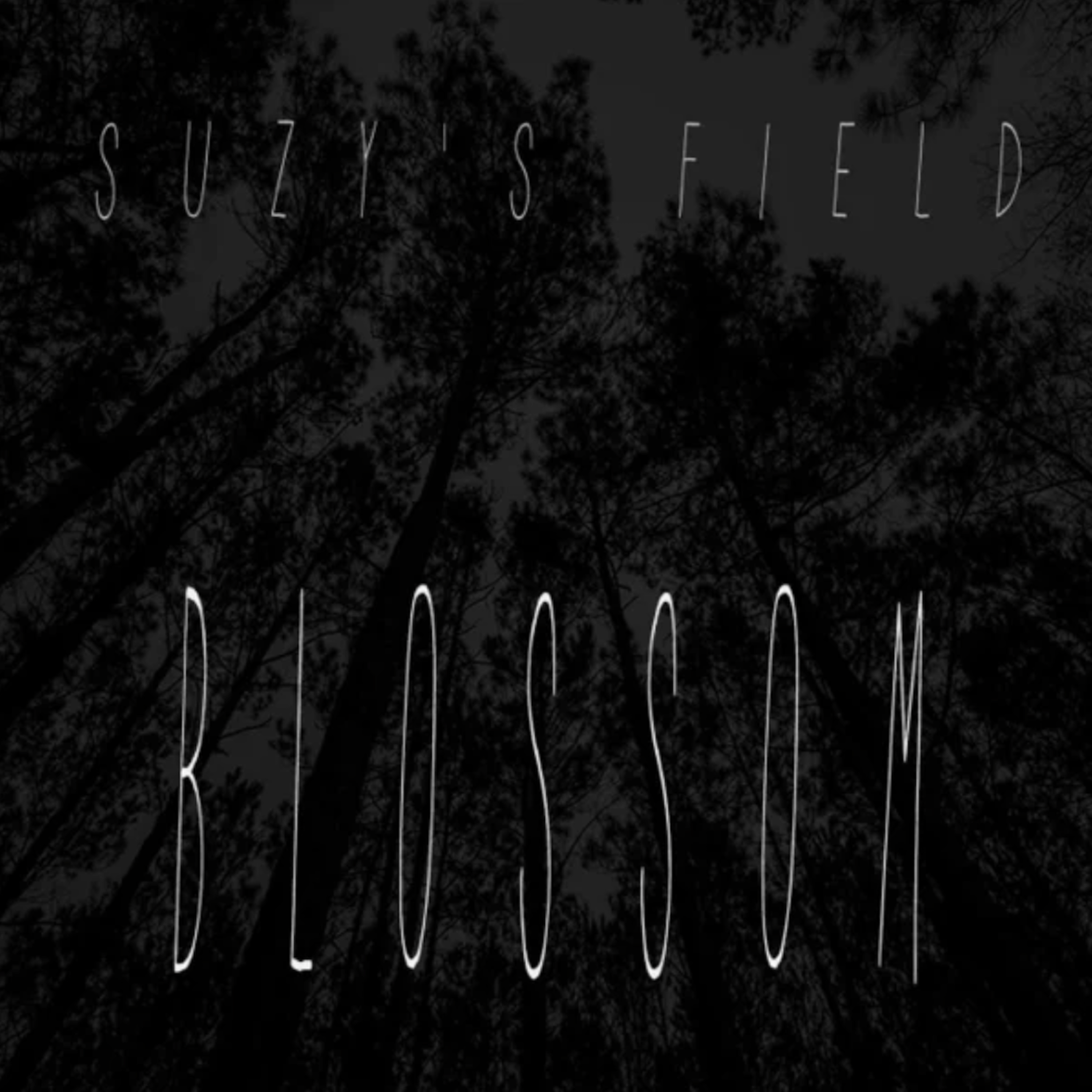 Blossom Artwork